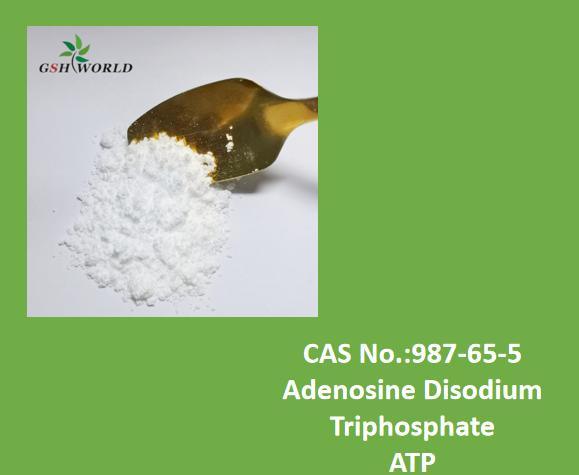 Support Customized Service ATP Powder From Factory 987-65-5