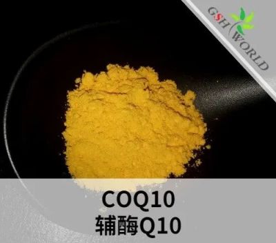 Health Care Raw Material Q10 Coenzyme Supplement Bulk Coenzyme Q10 Powder