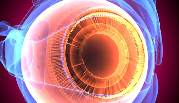 Study Shows NAD+ Supplementation Protects Eye Cells Following Retinal Detachment