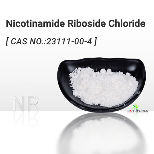 Nicotinamide Riboside Chloride NR suppliers & manufacturers in China