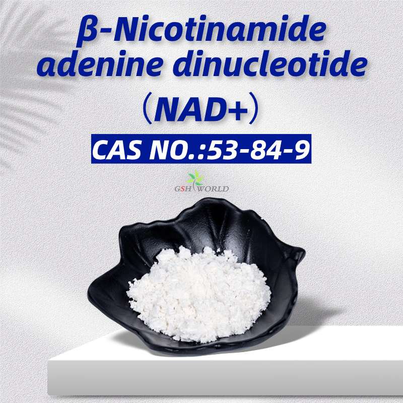 NAD+ plays an important role in antioxidants