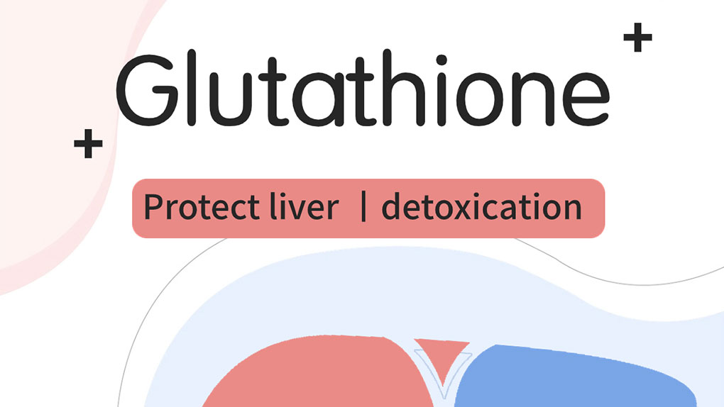 Glutathione detoxifies and protects liver