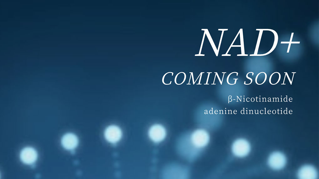 What is NAD+? Nicotinamide adenine dinucleotide