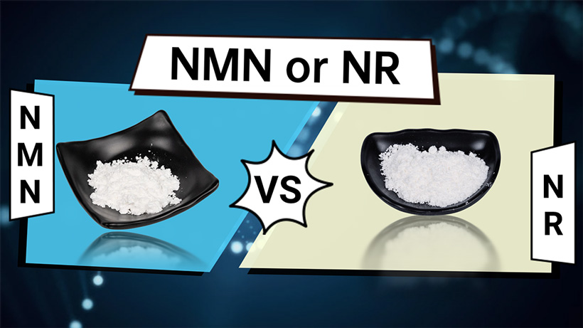 What is the difference between NMN and NR?