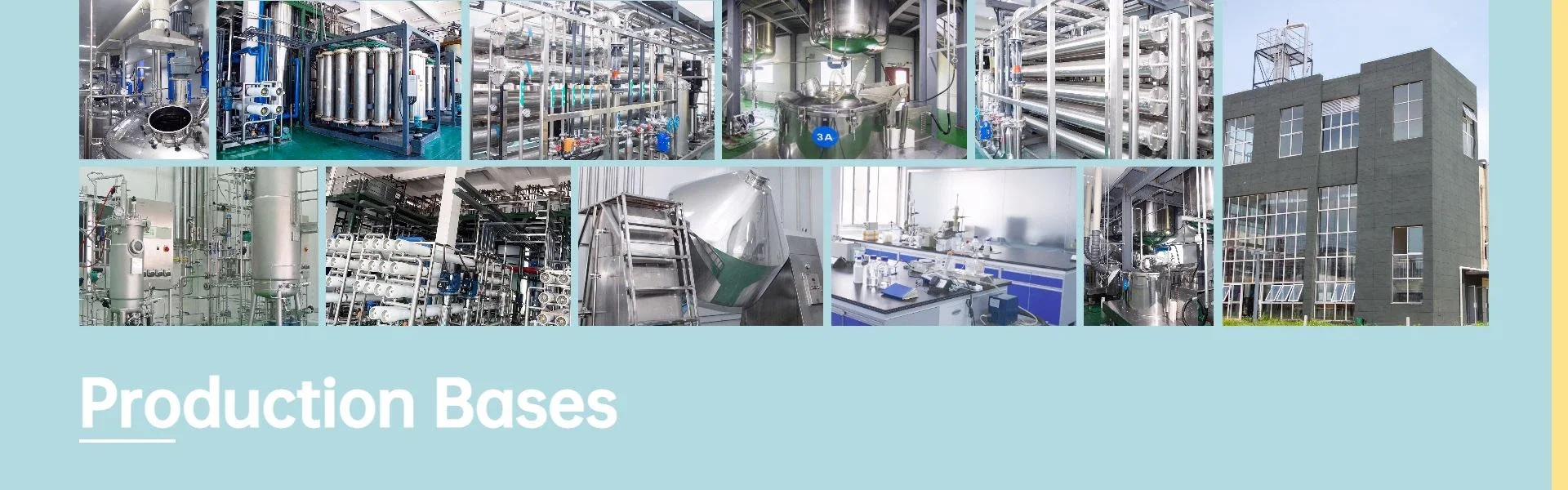 Production Bases