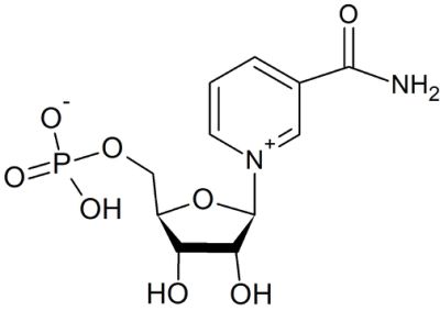 High Density Nmn Powder for Capsule Nicotinamide Mononucleotide