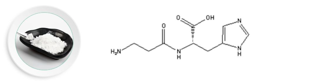 L-Carnosine Antioxodent Powder Cosmetic-Material
