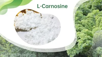 Skin Anti-Aging Bulk Powder 305-84-0 Cosmetic Grade L-Carnosine Wholesale suppliers & manufacturers in China