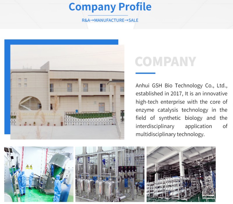 Company Profile