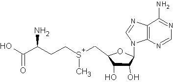 S-Adenosyl-L-Methionine Disulfate Tosylate CAS No.: 97540-22-2