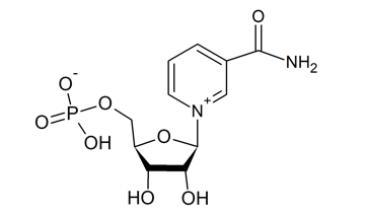 Nicotinamide Mononucleotide Nmn CAS No.: 1094-61-7