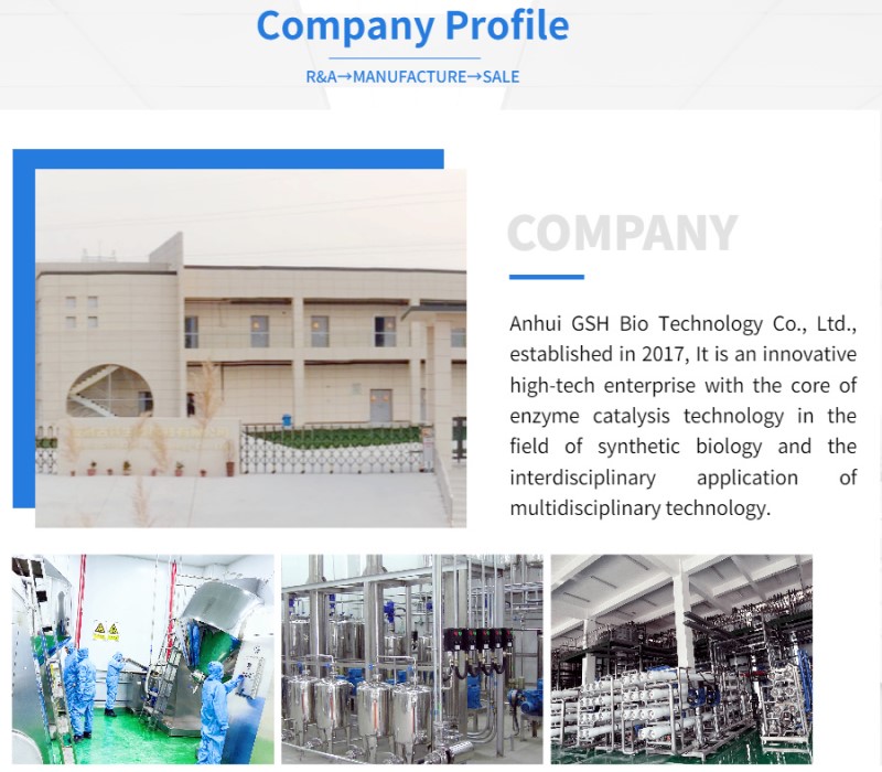 Company profile