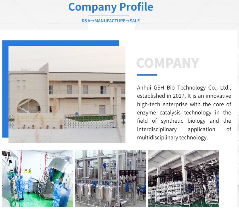 Company Profile