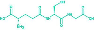 Supplement Raw Material Gsh/L-Glutathione Reduced with USP/Ep Standard