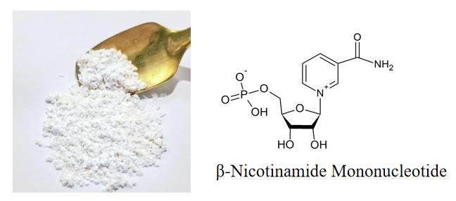 ODM/OEM Factory Beta-Nicotinamide Mononucleotide Powder 99%