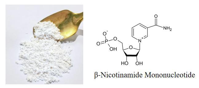 ODM/OEM Factory Beta-Nicotinamide Mononucleotide Powder 99% suppliers & manufacturers in China