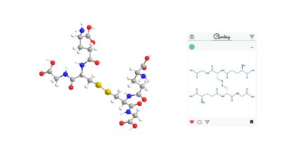 27025-41-8 Gssg Glutathione Oxidized Powder