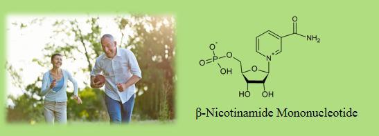 Beta-Nicotinamide Mononucleotide Nmn 1094-61-7
