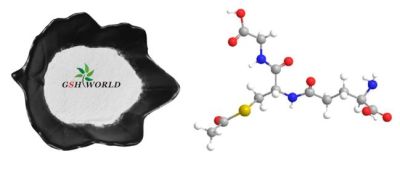 Factory Supply Ready Stock S-Acetyl-L-Glutathione CAS 3054-47-5