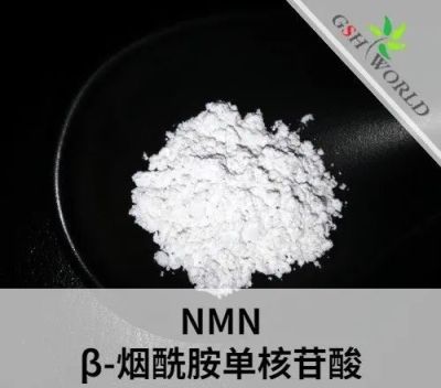 Nmn Powder Nicotinamide Mononucleotide Health Product Factory Outlet suppliers & manufacturers in China