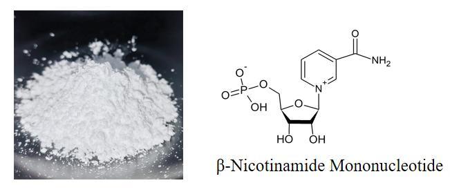 NMN Powder 1094-61-7 Beta NMN
