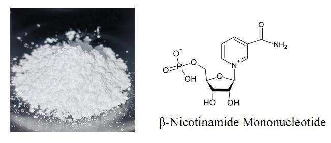 Nmn Powder 1094-61-7 Beta Nmn suppliers & manufacturers in China