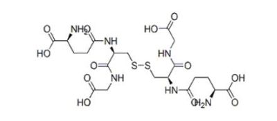 High Quality Glutathione Oxidized Gssg 27025-41-8