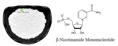 Nmn Powder Nicotinamide Mononucleotide Health Product Factory Outlet