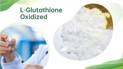 High Quality Glutathione Oxidized Gssg 27025-41-8