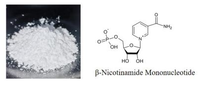 NMN Powder 1094-61-7 Beta NMN
