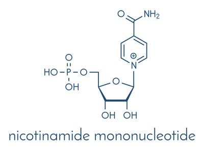 Nad++ Precursor Nicotinamide Mononucleotide (NMN) Powder CAS 1094-61-7
