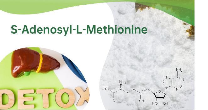 Health Addictive Raw Material Same/ S-Adenosyl-L-Methionine Disulfate Tosylate CAS 97540-22-2