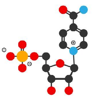 Anti-Aging Nmn Powder β -Nicotinamide Mononucleotide 1094-61-7 suppliers & manufacturers in China