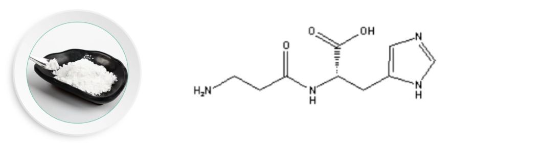 L-Carnosine Carnosine Powder 27025-41-8 Factory Supply