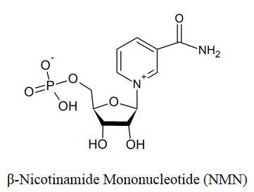 Hot Sale Raw Material Nicotinamide Mononucleotide Powder with Halal/Kosher/FDA/ISO