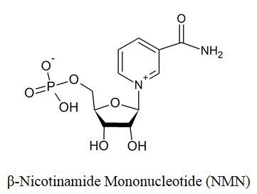 Hot Sale Raw Material Nicotinamide Mononucleotide Powder with Halal/Kosher/FDA/ISO suppliers & manufacturers in China