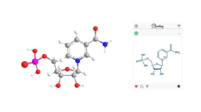 Good Quality Healthcare Raw Material β -Nicotinamide Mononucleotide