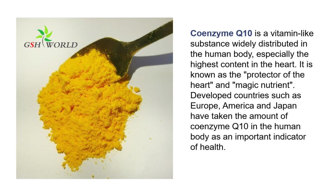 what is Coenzyme Q10?