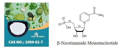 Anti-Aging 1094-61-7 Beta Nmn Nicotinamide Mononucleotide OEM 99% Nmn Powder