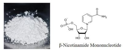 OEM Bulk Price Nmn Beta Nicotinamide Mononucleotide Capsules Dietary Supplement 99% Nmn Powder suppliers & manufacturers in China