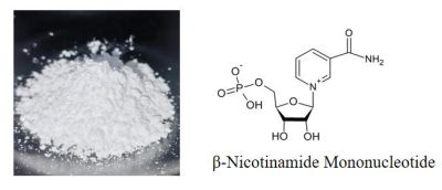 OEM Bulk Price Nmn Beta Nicotinamide Mononucleotide Capsules Dietary Supplement 99% Nmn Powder