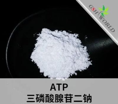 Pharmaceutical Ingredients Adenosine Triphosphate Disodium (ATP) 987-65-5