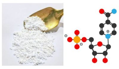 Nmn Supplements Pure Nmn Powder 99% Nmn Capsule Nicotinamid Mononucleotid