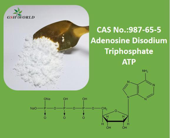 Factory Direct Sale Adenosine Triphosphate Disodium (ATP) Powder with Competitive Price and Top Quality