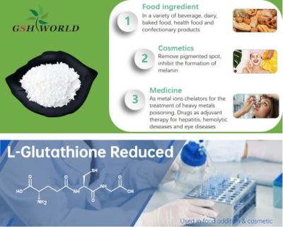 Food Grade Ingredient Glutathione Reduced Powder 70-18-8