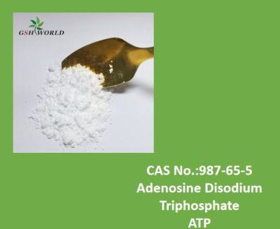Support Customized Service ATP Powder From Factory 987-65-5 suppliers & manufacturers in China