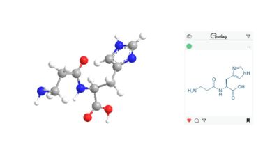 Pharmaceutical Ingredients L- Carnosine Powder with Top Quality