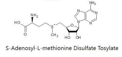 Protect Liver Function S-Adenosyl-L-Methionine Disulfate Tosylate Powder From Factory