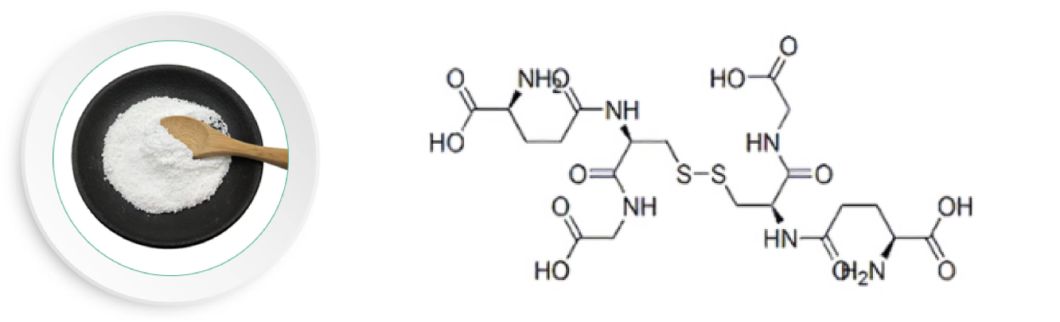 Pharmaceutical Raw Material <a href=/L-Glutathione-Oxidized.html target='_blank'>L-Glutathione Oxidized</a> Bulk Powder