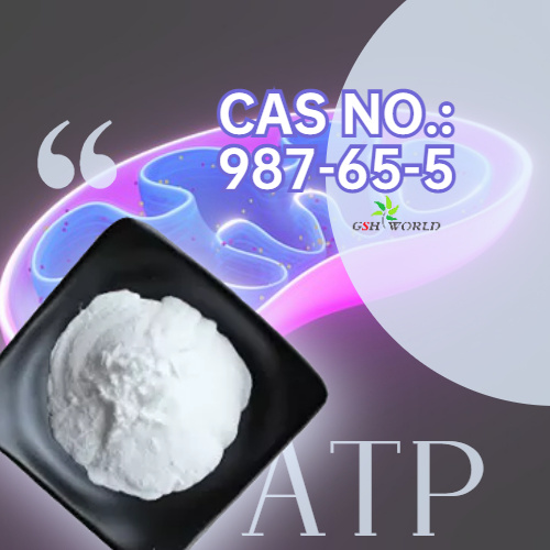 Adenosine Triphosphate Disodium 99% Purity ATP CAS: 987-65-5